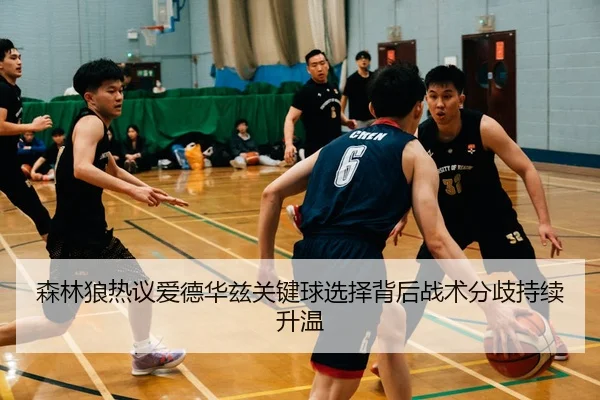 森林狼热议爱德华兹关键球选择背后战术分歧持续升温